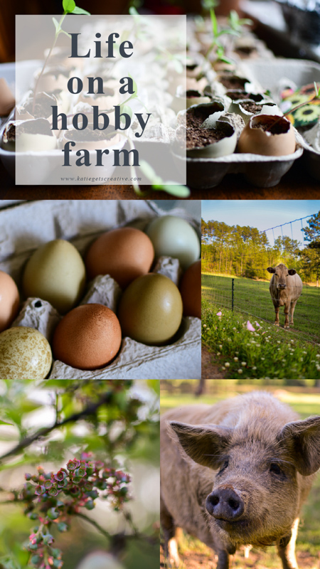 Life on a Hobby Farm: Spring Edition