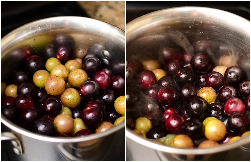 Muscadines and scuppernongs in a large stock pot 