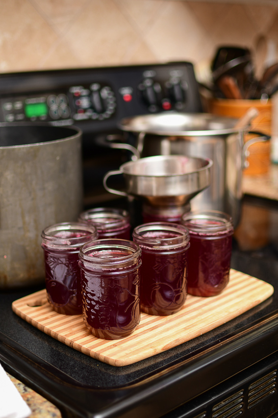 Recipe For Homemade Muscadine Jelly