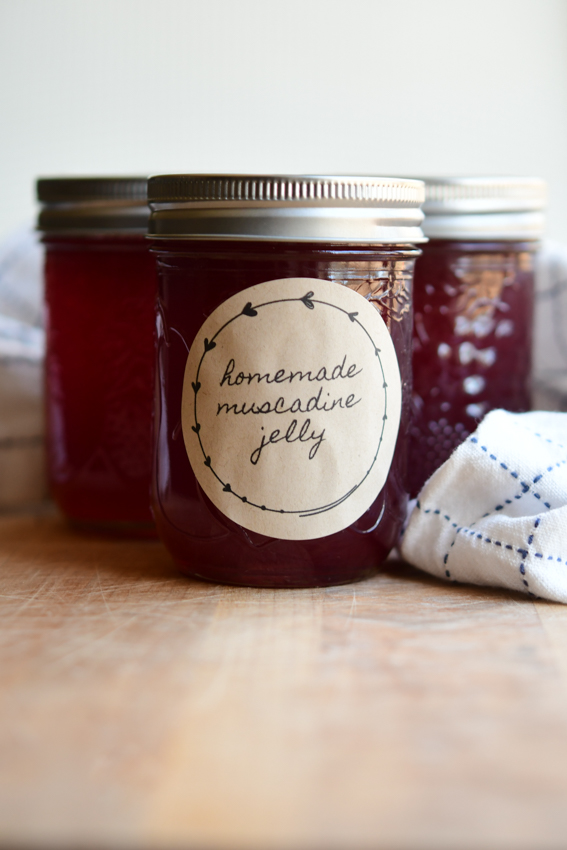 A can of muscadine jelly with a decorative label 